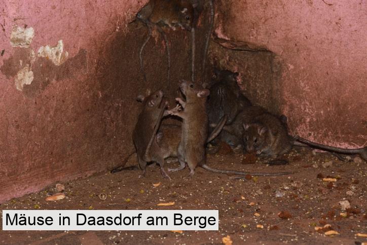 Mäuse in Daasdorf am Berge